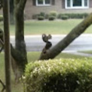 Meet your Posher, Dana